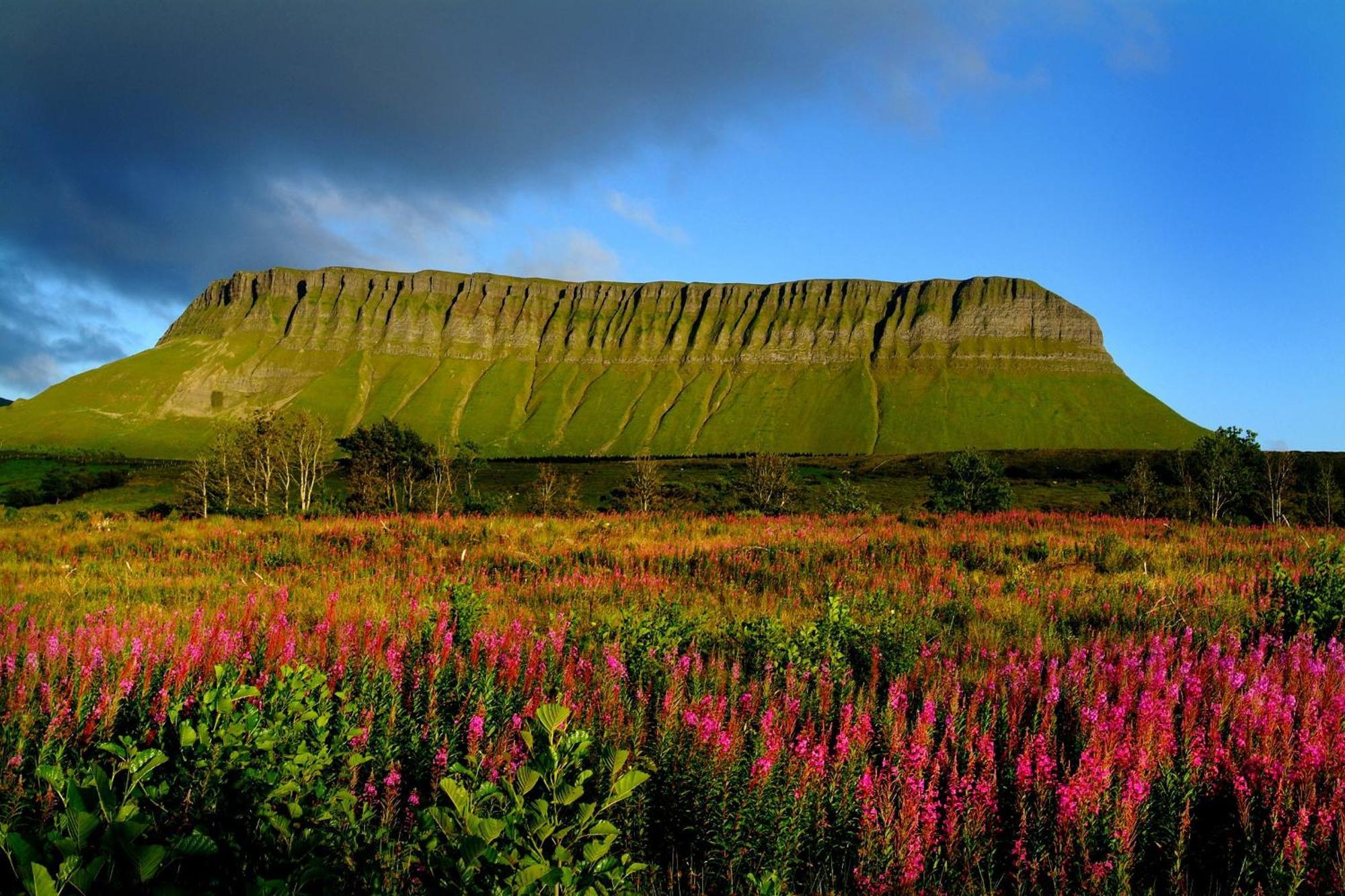 Central Sligo Townhouse Экстерьер фото